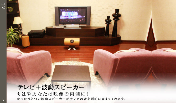 『テレビ＋波動スピーカー』もはやあなたは映像の内側に！（たったひとつの波動スピーカーがテレビの音を劇的に変えてくれます。）